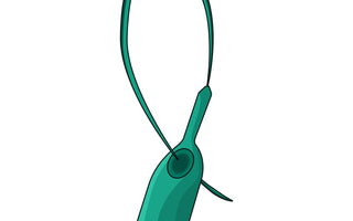 Green tamper proof seal used for securing containers and equipment.