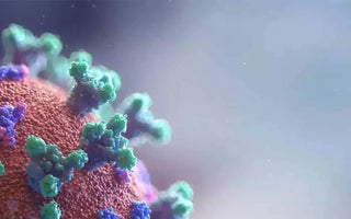 Antimicrobial Security Seals (A-MVB) | Now Available