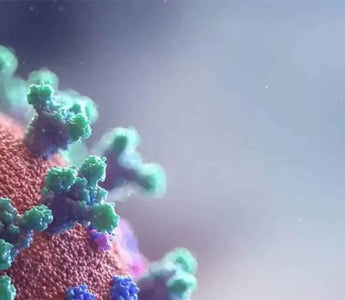 Antimicrobial Security Seals (A-MVB) | Now Available