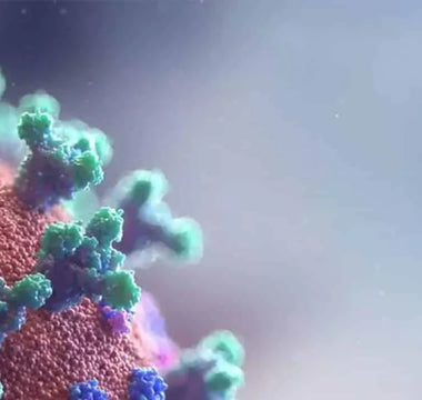 Antimicrobial Security Seals (A-MVB) | Now Available