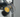 meter seals applied to electricity meter