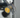 meter seals applied to electricity meter