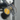 meter seals applied to electricity meter